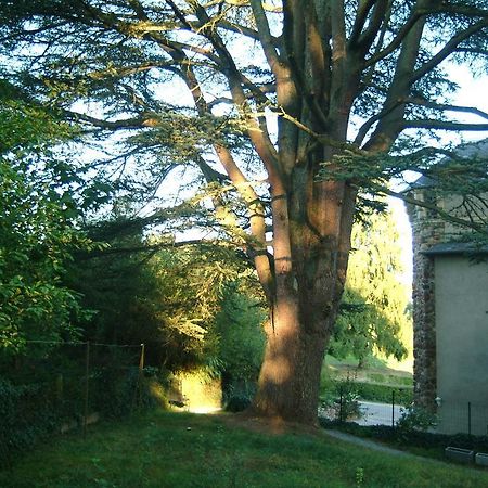 Chambres D'Hotes Castel Des Cedres Saint-Honore-les-Bains Exterior photo